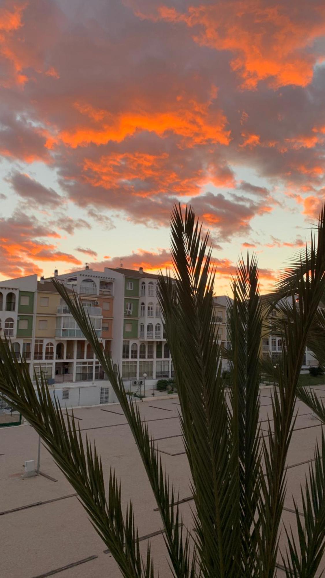 Apartment With Side Seaview 60 Meters From Sea Torrevieja Exteriör bild