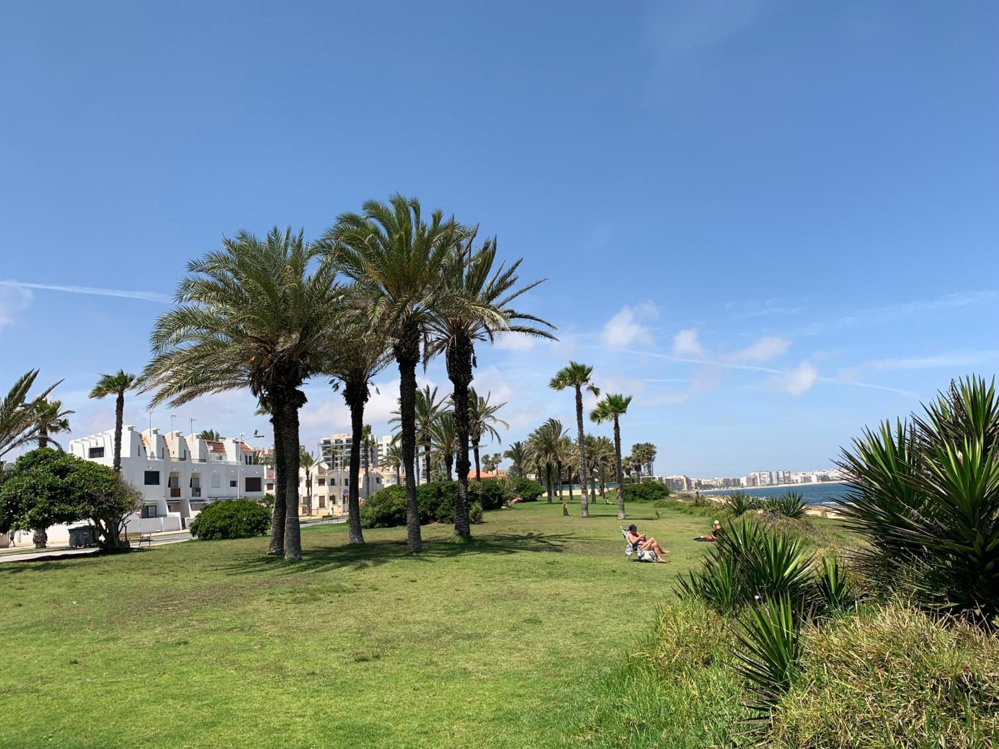 Apartment With Side Seaview 60 Meters From Sea Torrevieja Exteriör bild