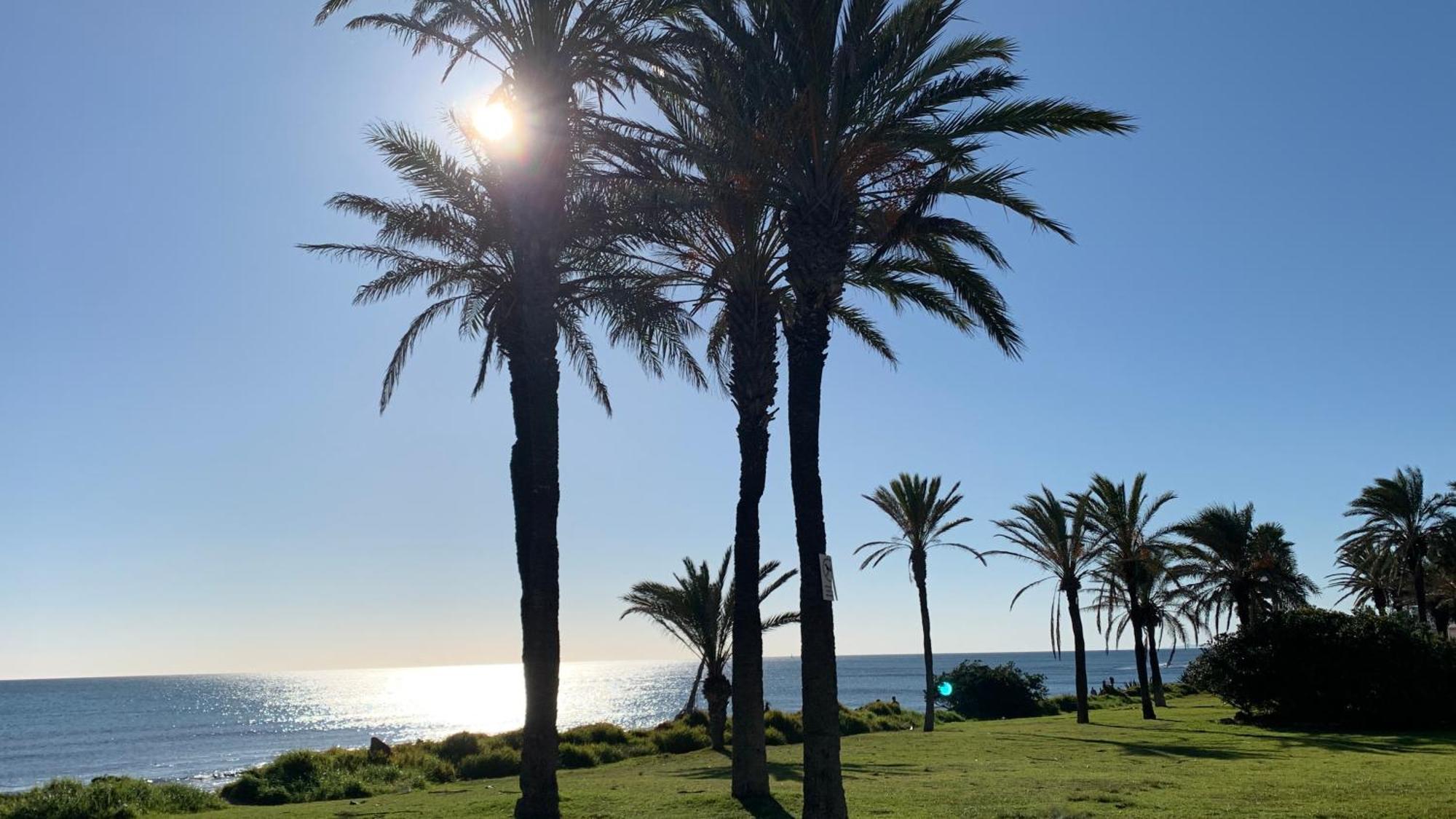 Apartment With Side Seaview 60 Meters From Sea Torrevieja Exteriör bild