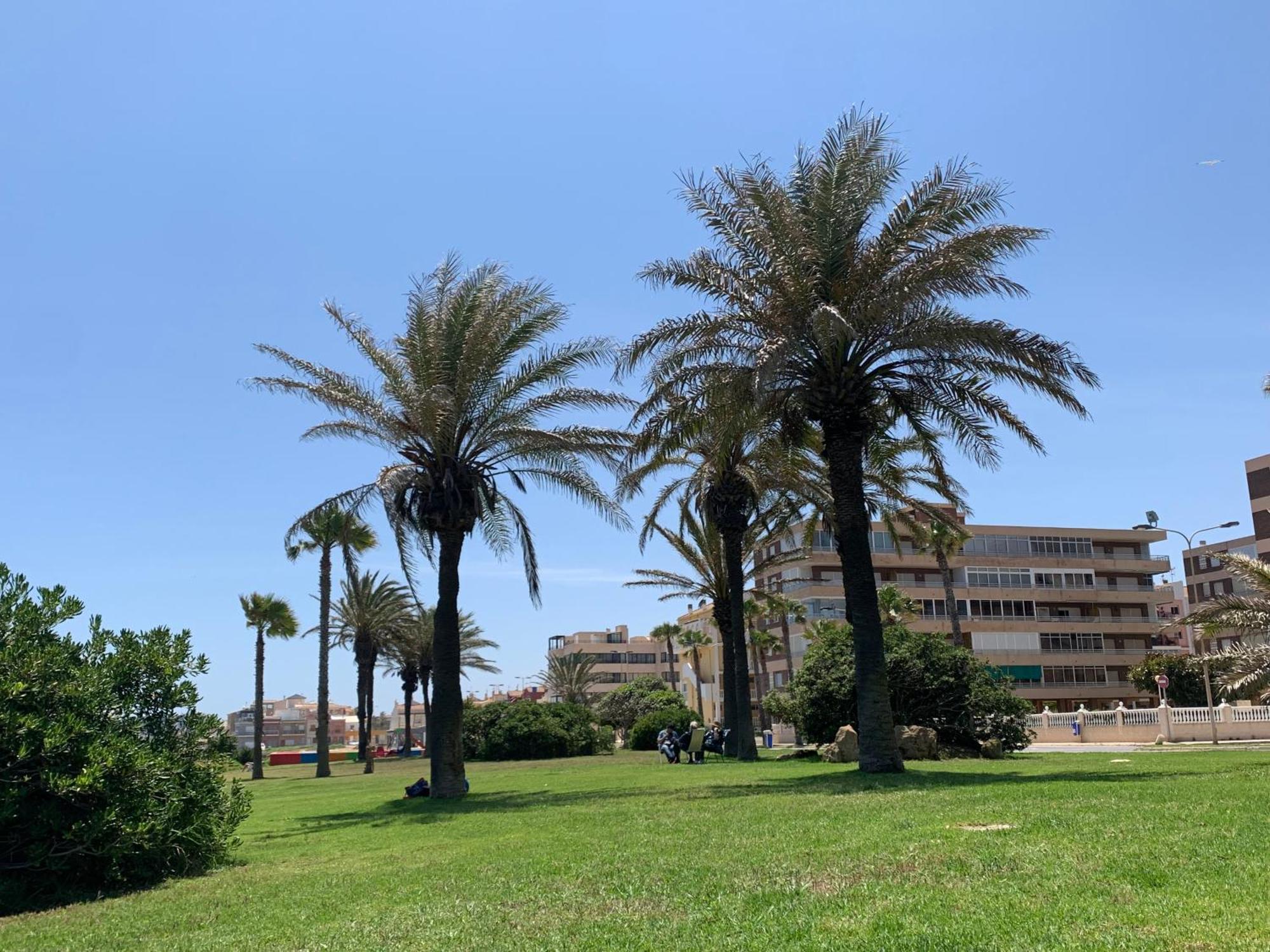 Apartment With Side Seaview 60 Meters From Sea Torrevieja Exteriör bild